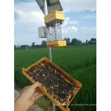 Lámpara solar de asesino de plagas Lámpara de asesino de mosquitos